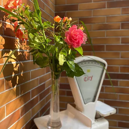 Am Strand Гостевой дом Юлиусрух