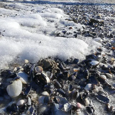 Πανσιόν Am 3*