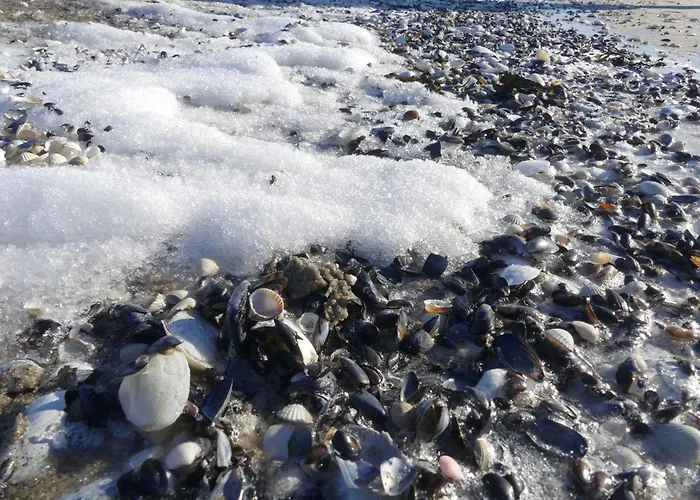 בית הארחה Am 3*